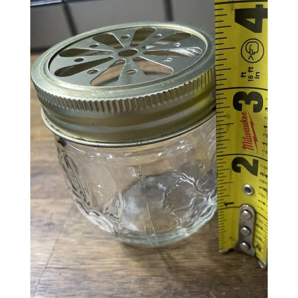 Small Mason Jar With Fruit Decor And Daisy Cut Copper Lid
